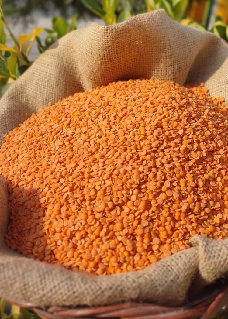 Mercimek
